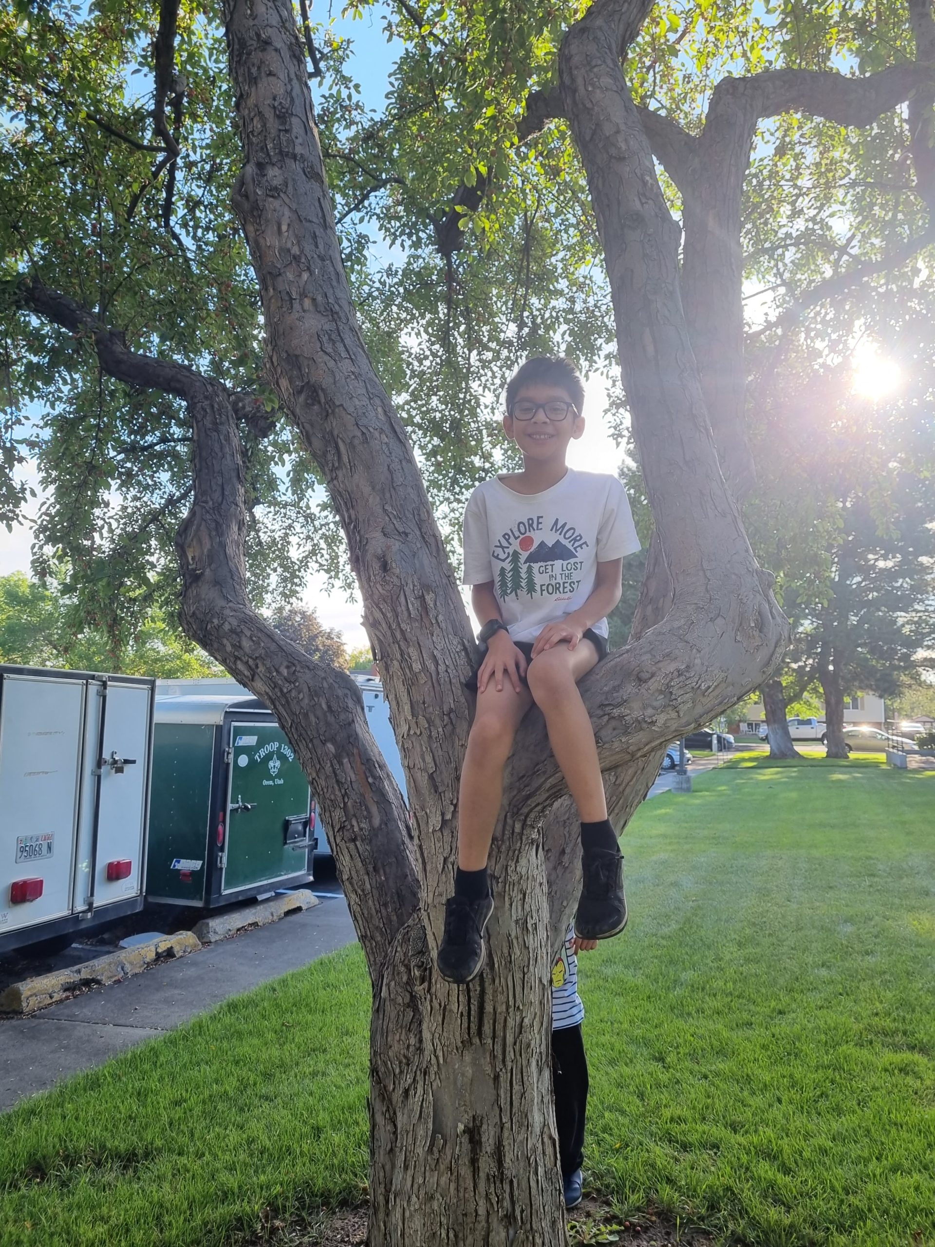 Climbing Trees